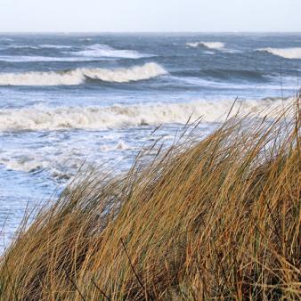 St&uuml;rmischer Tag. Foto &copy; Katinka A. 2022