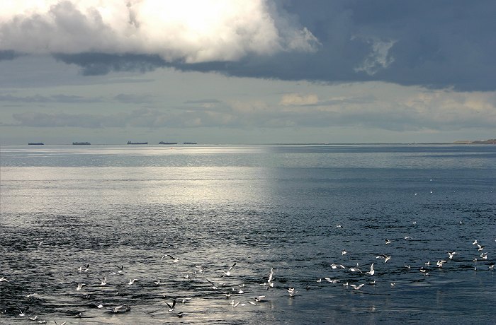 Gewitterwolken &uuml;ber der Harle