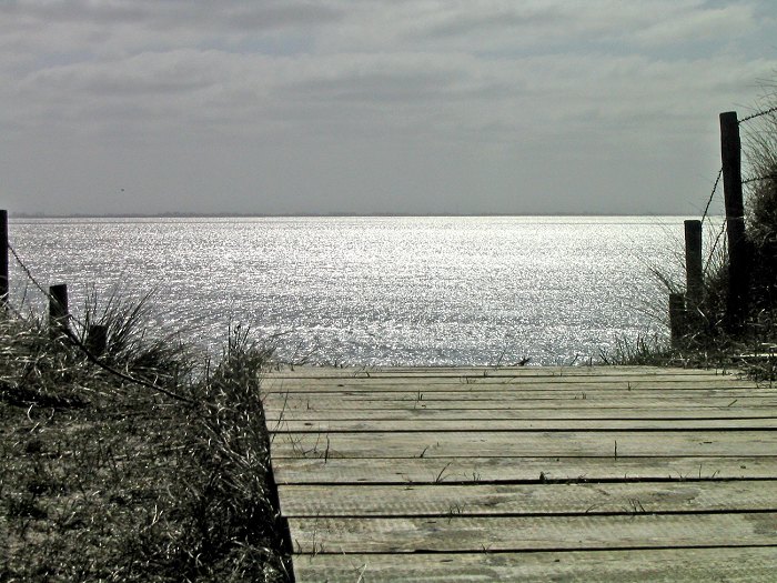 Blick auf das Wattenmeer bei Hochwasser