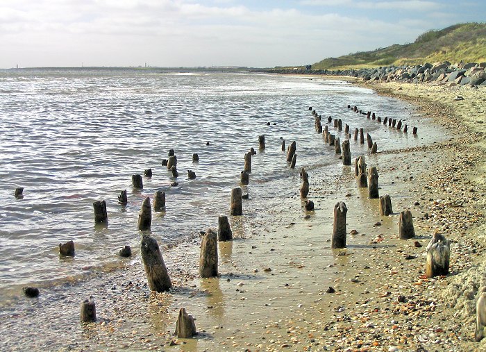Pf&auml;hle vom &raquo;B&uuml;nder Heim&laquo;