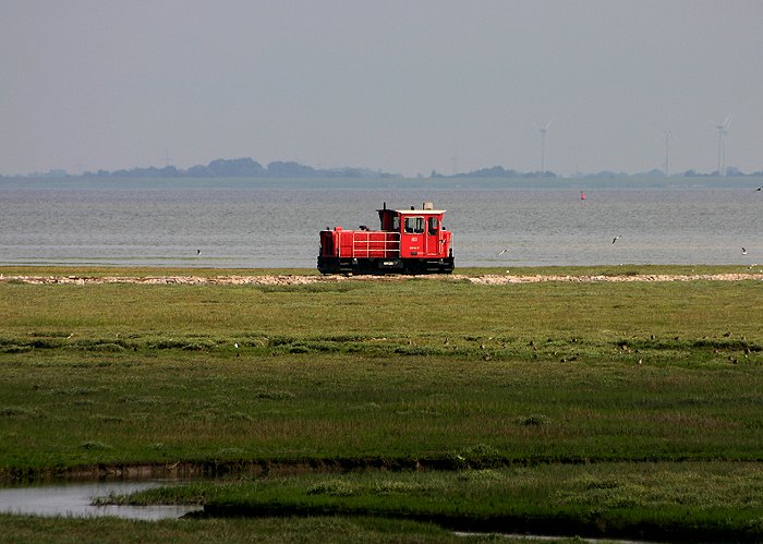 Inselbahn-Lok in den Salzwiesen