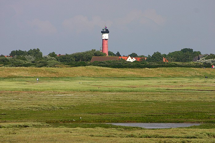 Salzwiesen und Alter Leuchtturm