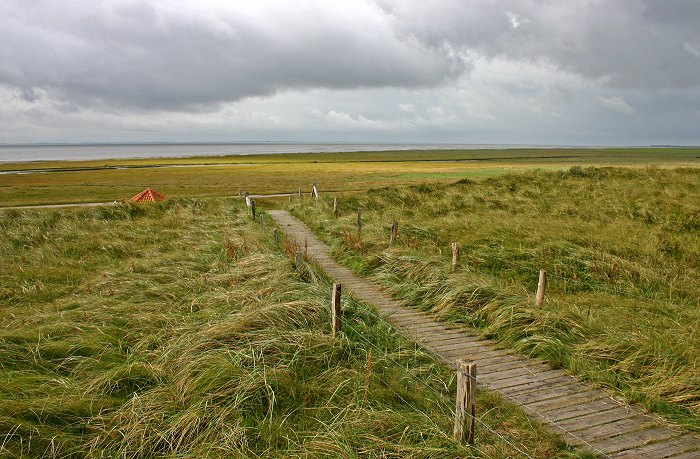 D&uuml;nen&uuml;berwegung im Osten