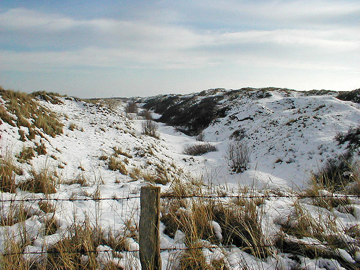 Verschneites D&uuml;nental