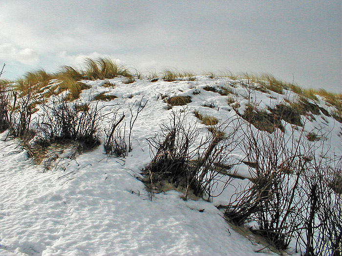 Düne im Schnee