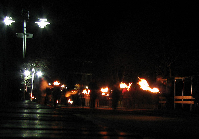 Fackelumzug durch die Zedeliusstra&szlig;e