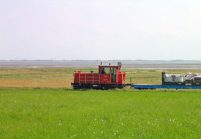 G&uuml;terzug kurz vorm Deichschart