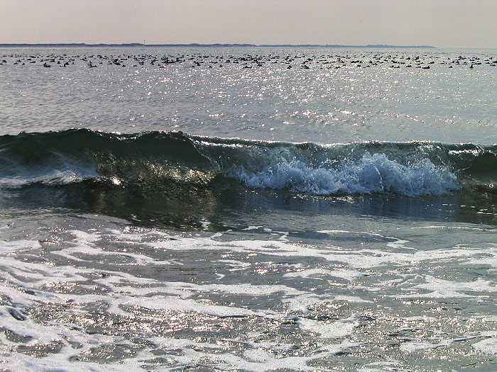 Brandung im Gegenlicht