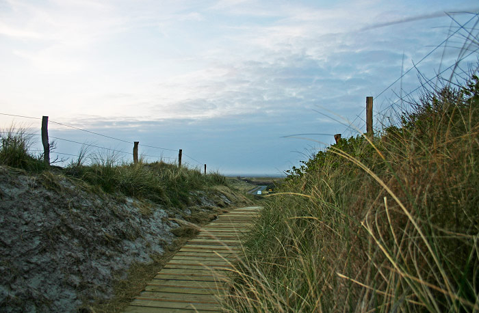 D&uuml;nen&uuml;berwegung Saline