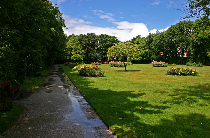 Rosengarten nach dem Regen