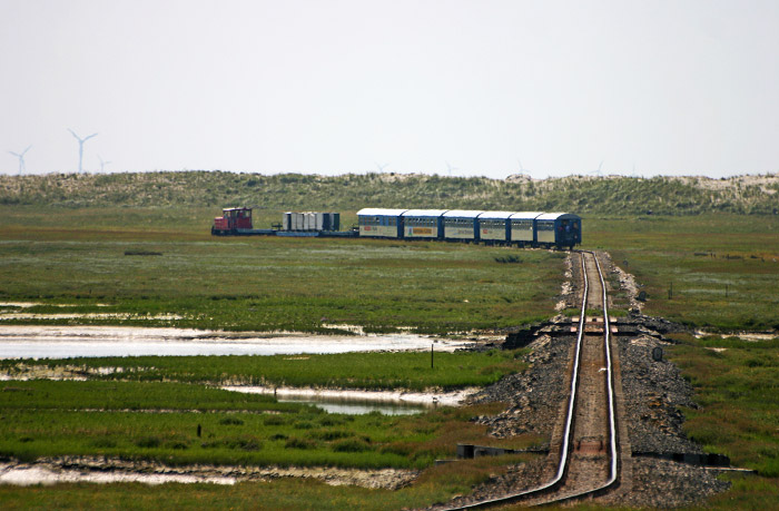 Salzwiesen mit Inselbahn
