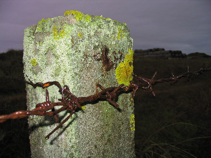 Zaunpfahl an der ehemaligen Radarstation