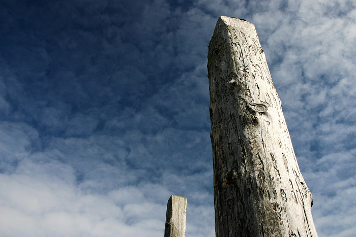 Pf&auml;hle in Harlesiel