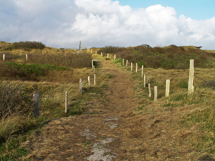 D&uuml;nen&uuml;berwegung im Osten