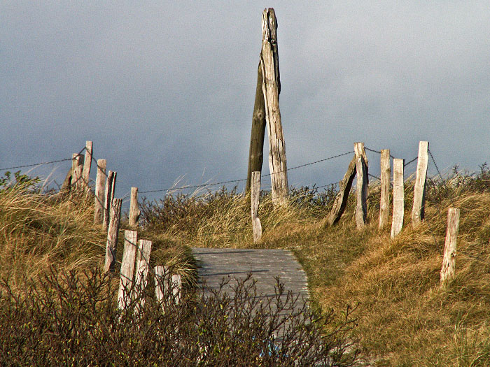 D&uuml;nen&uuml;berwegung im Osten