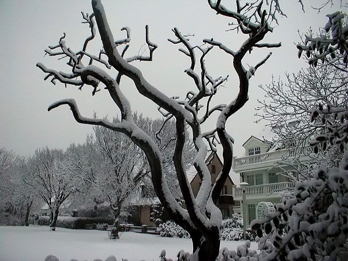 Schneebedeckter Dorfplatz