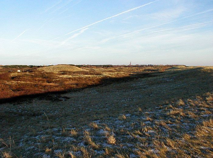 Reif auf dem D&uuml;nendeich