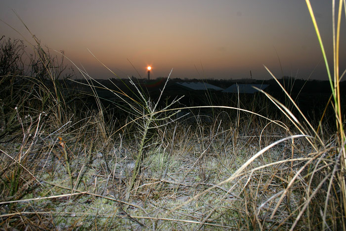 Reifbedeckte D&uuml;nen am Morgen