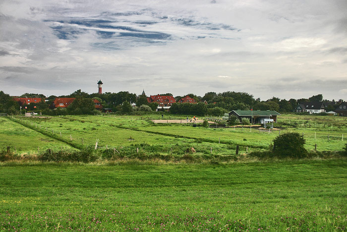 Die Pferdeweide im Dorfgroden