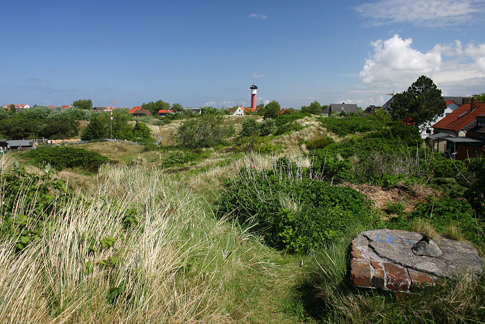 In den Osterd&uuml;nen