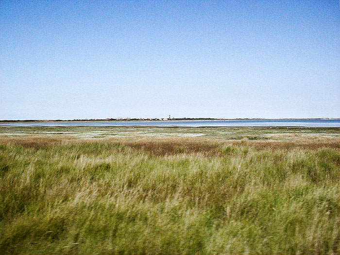 Salzwiesenlandschaft