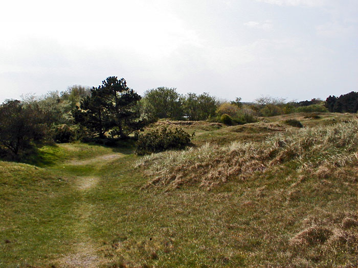 In den Osterd&uuml;nen