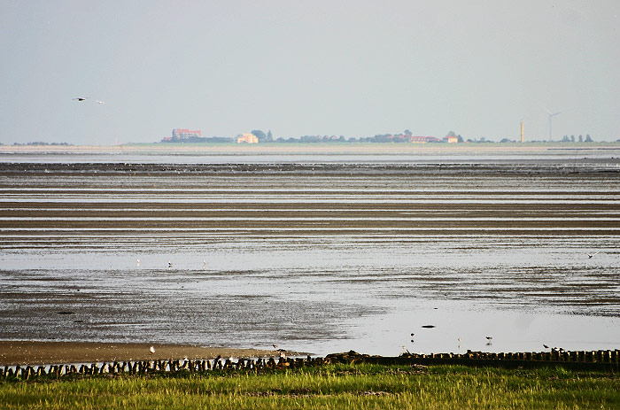 Übers Wattenmeer nach Schillig geblickt