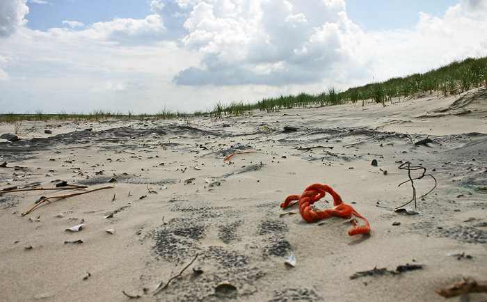 Vom Wind freigelegtes Zeug am Strand