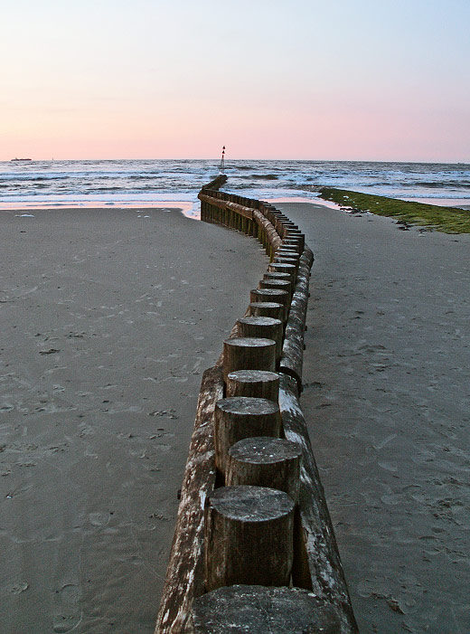 Gebogene Pfahlbuhne in der Abenddämmerung