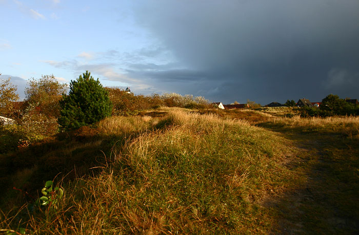 In den Osterd&uuml;nen