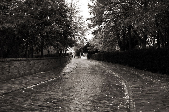 Carstenstra&szlig;e im Herbst