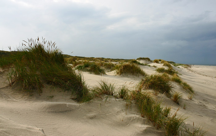 Wei&szlig;d&uuml;nenlandschaft