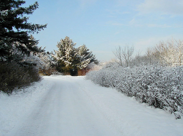 Eingeschneite Stra&szlig;e zum Westen