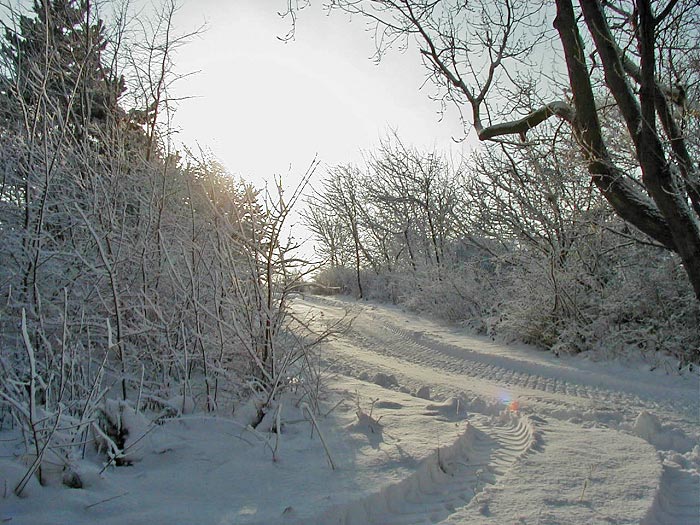 Schnee auf Wangerooge