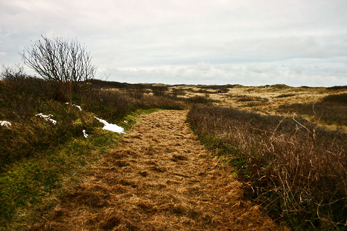 D&uuml;nenweg im Osten