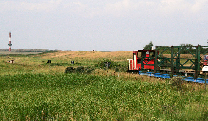 Vorbeifahrender G&uuml;terzug