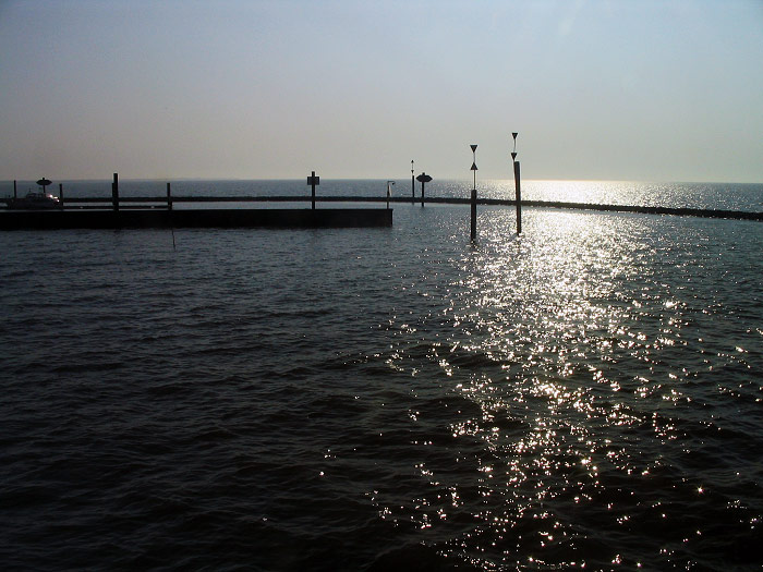 Westanleger im Gegenlicht