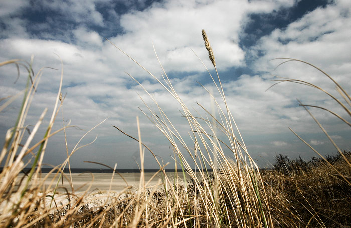 In den Ostd&uuml;nen