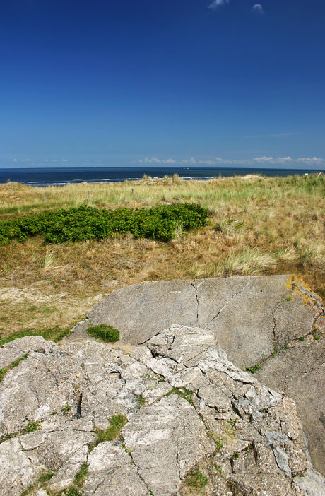 Bunkerreste in den D&uuml;nen