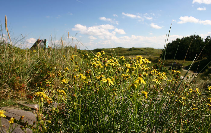 &Uuml;berwegung Saline