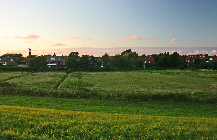 Pferdeweiden im Dorfgroden