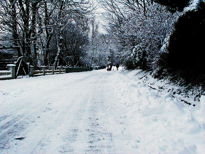 Schnee in der R&ouml;singstra&szlig;e