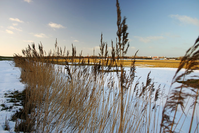 Zugeschneiter Deichgraben