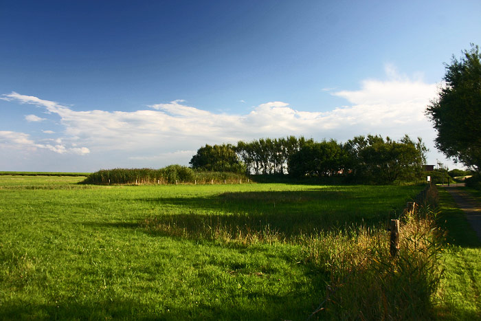 Weide nahe der Kl&auml;ranlage