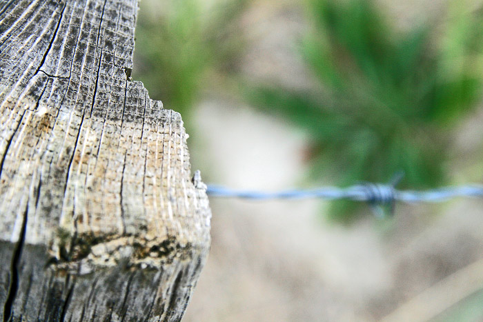 Detailansicht eines Zaunpfahls