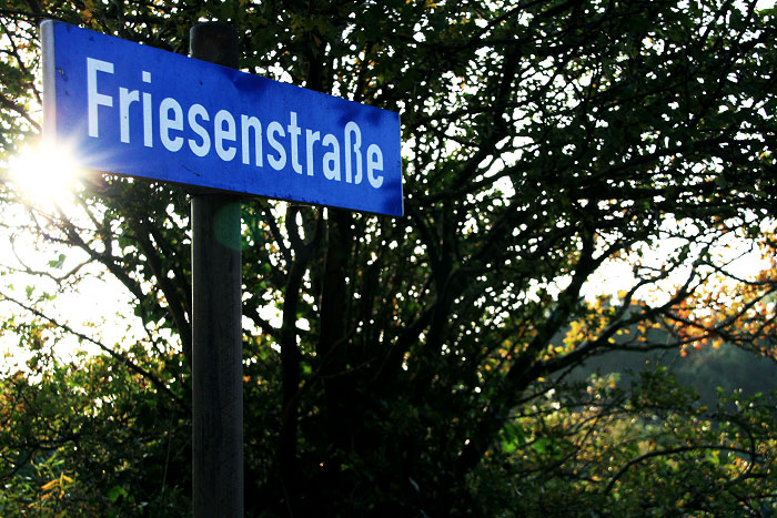 Friesenstra&szlig;e