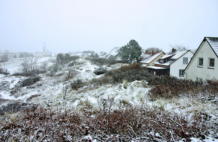 S&uuml;dliche Osterd&uuml;nen im Winter