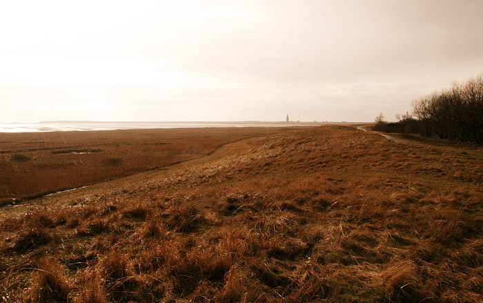 Auf dem S&uuml;ddeich