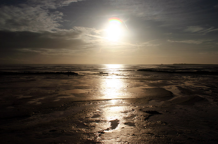 Wattenmeer beim Georgspad