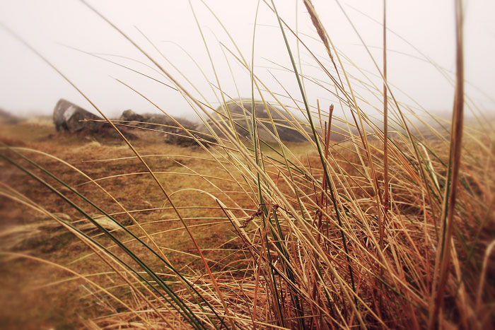 Bunker in den D&uuml;nen